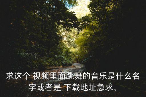 求这个 视频里面跳舞的音乐是什么名字或者是 下载地址急求、