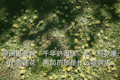 舞蹈我梦中的雪莲花,梦中的雪莲花广场舞分解动作
