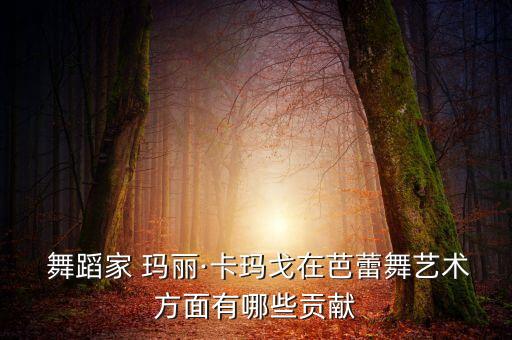  舞蹈家 玛丽·卡玛戈在芭蕾舞艺术方面有哪些贡献