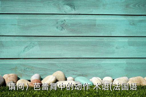 舞蹈双起单落专业术语