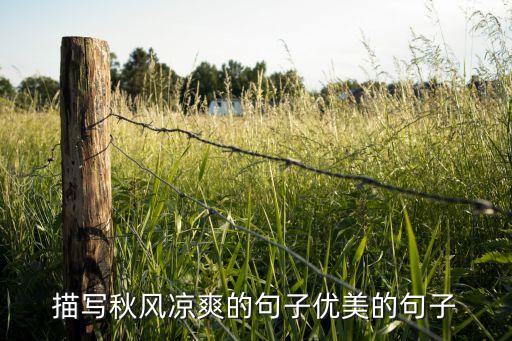 描写秋风凉爽的句子优美的句子