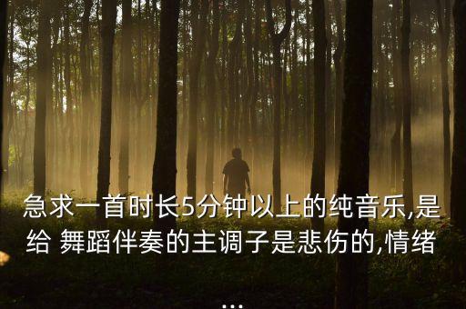 急求一首时长5分钟以上的纯音乐,是给 舞蹈伴奏的主调子是悲伤的,情绪...