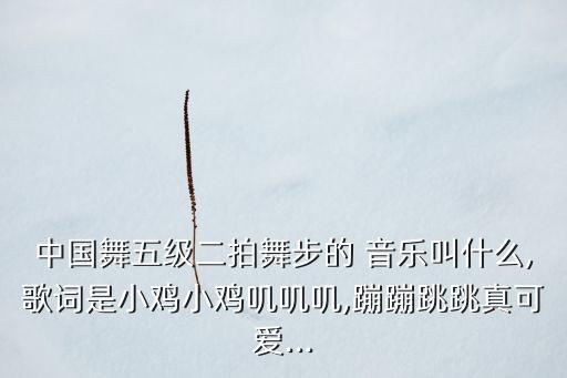 中国舞五级二拍舞步的 音乐叫什么,歌词是小鸡小鸡叽叽叽,蹦蹦跳跳真可爱...