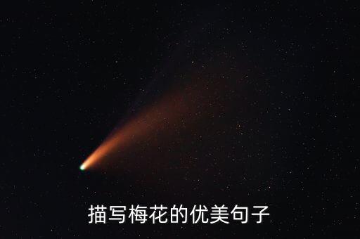 描写梅花的优美句子