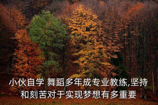 学舞蹈最重要的是坚持