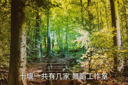 十堰一共有几家 舞蹈工作室