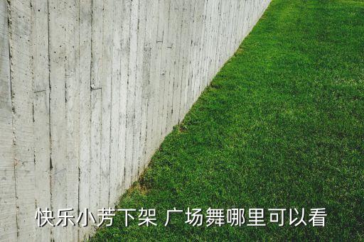 快乐小芳下架 广场舞哪里可以看