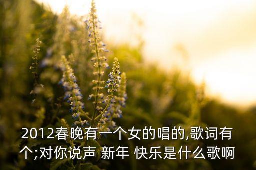 2012春晚有一个女的唱的,歌词有个;对你说声 新年 快乐是什么歌啊