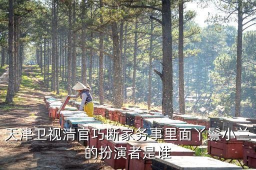 天津卫视清官巧断家务事里面丫鬟小兰的扮演者是谁
