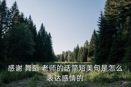 感谢 舞蹈 老师的话简短美句是怎么表达感情的