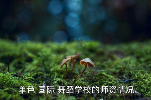  单色 国际 舞蹈学校的师资情况