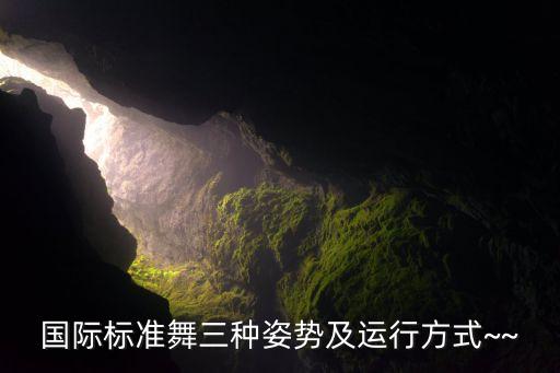 国际标准舞三种姿势及运行方式~~