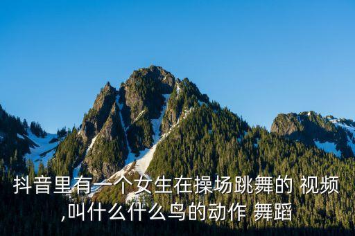 叫我唱歌舞蹈视频教学,星星在唱歌舞蹈视频完整版