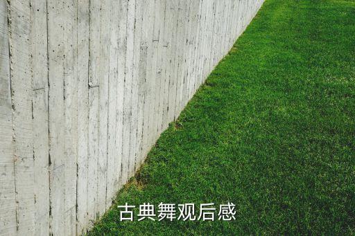 古典舞观后感