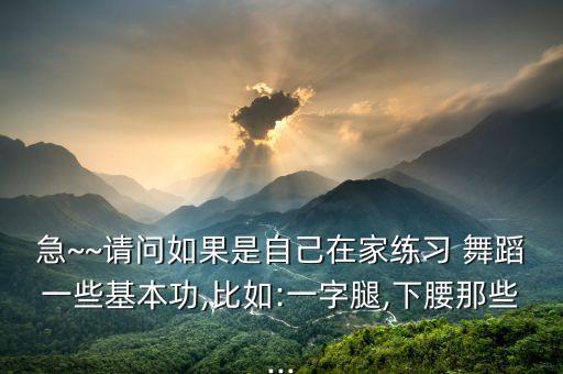 急~~请问如果是自己在家练习 舞蹈一些基本功,比如:一字腿,下腰那些...