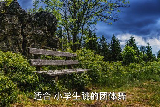 适合 小学生跳的团体舞