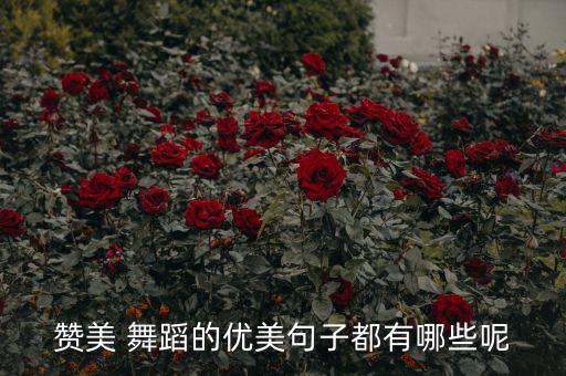 赞美 舞蹈的优美句子都有哪些呢