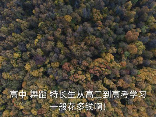 高中 舞蹈 特长生从高二到高考学习一般花多钱啊!
