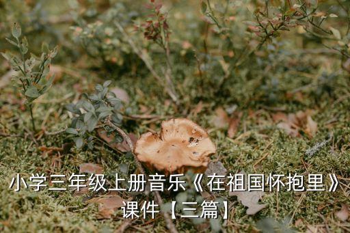 小学三年级上册音乐《在祖国怀抱里》课件【三篇】