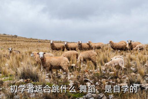 初学者适合跳什么 舞蹈、是自学的