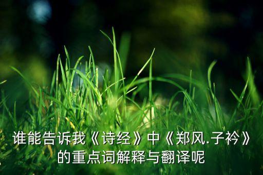 子衿 舞蹈视频,子衿的朗读视频