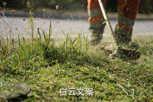 白云文案