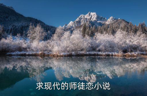 求现代的师徒恋小说