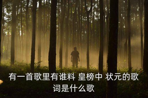 舞蹈皇榜中状元_,不料皇榜中状元原唱