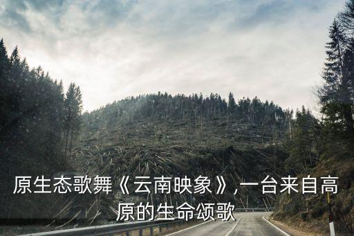 原生态歌舞《云南映象》,一台来自高原的生命颂歌