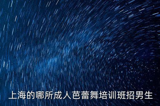  上海的哪所成人芭蕾舞培训班招男生