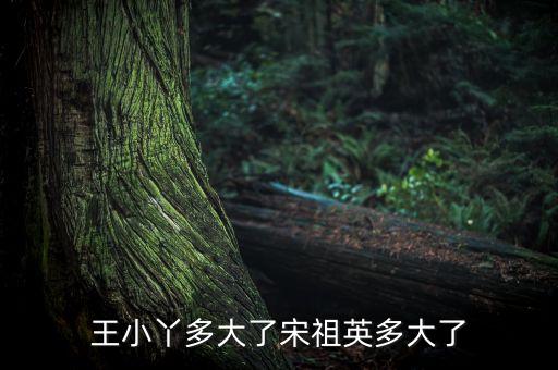 王小丫多大了宋祖英多大了