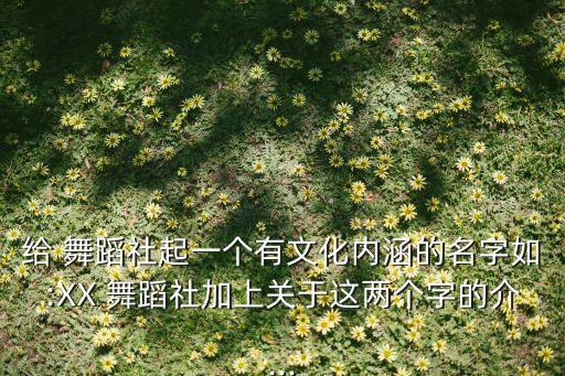 给 舞蹈社起一个有文化内涵的名字如:XX 舞蹈社加上关于这两个字的介...