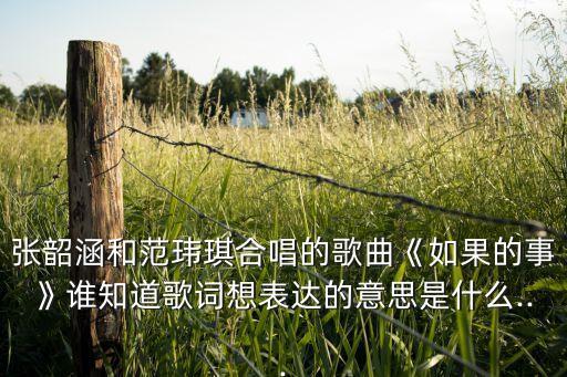 张韶涵和范玮琪合唱的歌曲《如果的事》谁知道歌词想表达的意思是什么...
