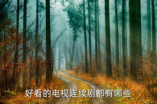 好看的电视连续剧都有哪些