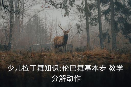 deal舞蹈教学分解视频
