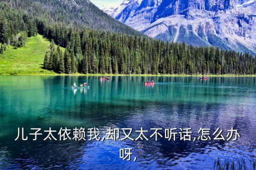 儿子太依赖我,却又太不听话,怎么办呀,