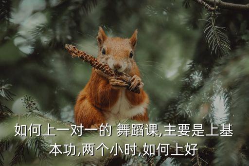 如何上一对一的 舞蹈课,主要是上基本功,两个小时,如何上好