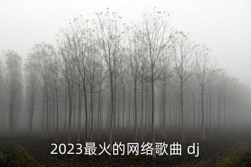 浪子闲话dj舞蹈分解