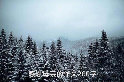  感恩母亲的作文200字