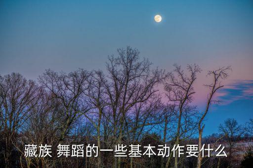 藏族 舞蹈的一些基本动作要什么