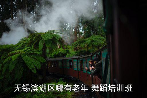 无锡滨湖区哪有老年 舞蹈培训班