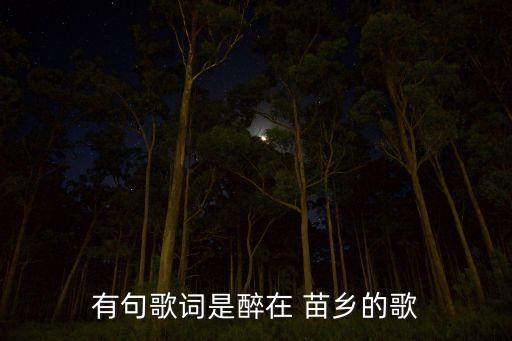 飞向苗乡侗寨舞蹈下载,苗族舞蹈飞向苗乡侗寨