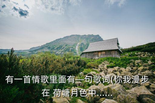 梦醉荷塘舞蹈伞舞,舞蹈梦醉荷塘伞舞队形版