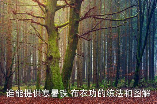 谁能提供寒暑铁 布衣功的练法和图解