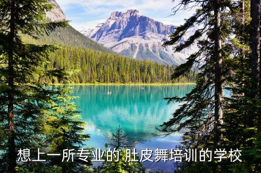 北京老年舞蹈队肚皮舞