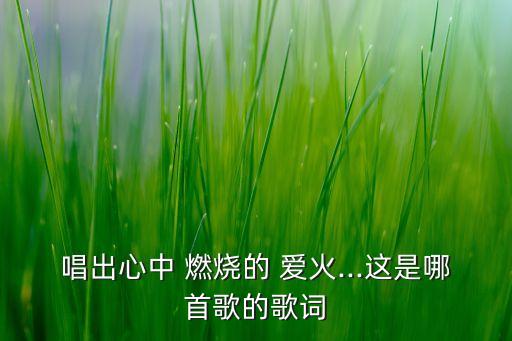 燃烧的爱火幼儿舞蹈,印度神曲燃烧的爱火舞蹈