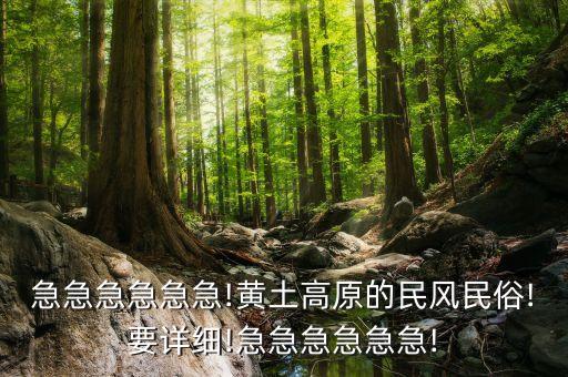 急急急急急急!黄土高原的民风民俗!要详细!急急急急急急!