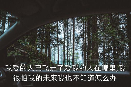我爱的人已飞走了爱我的人在哪里,我很怕我的未来我也不知道怎么办