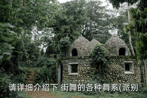 请详细介绍下 街舞的各种舞系(派别