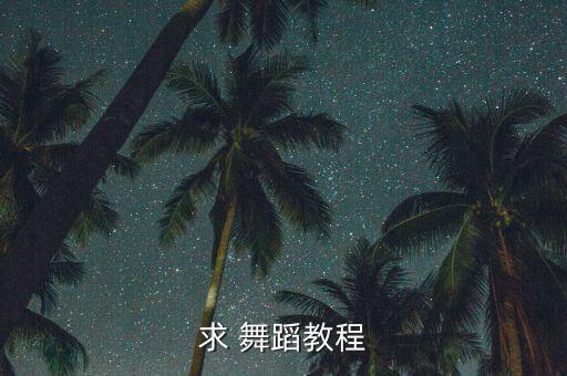 藏族舞蹈视频青春踢踏
